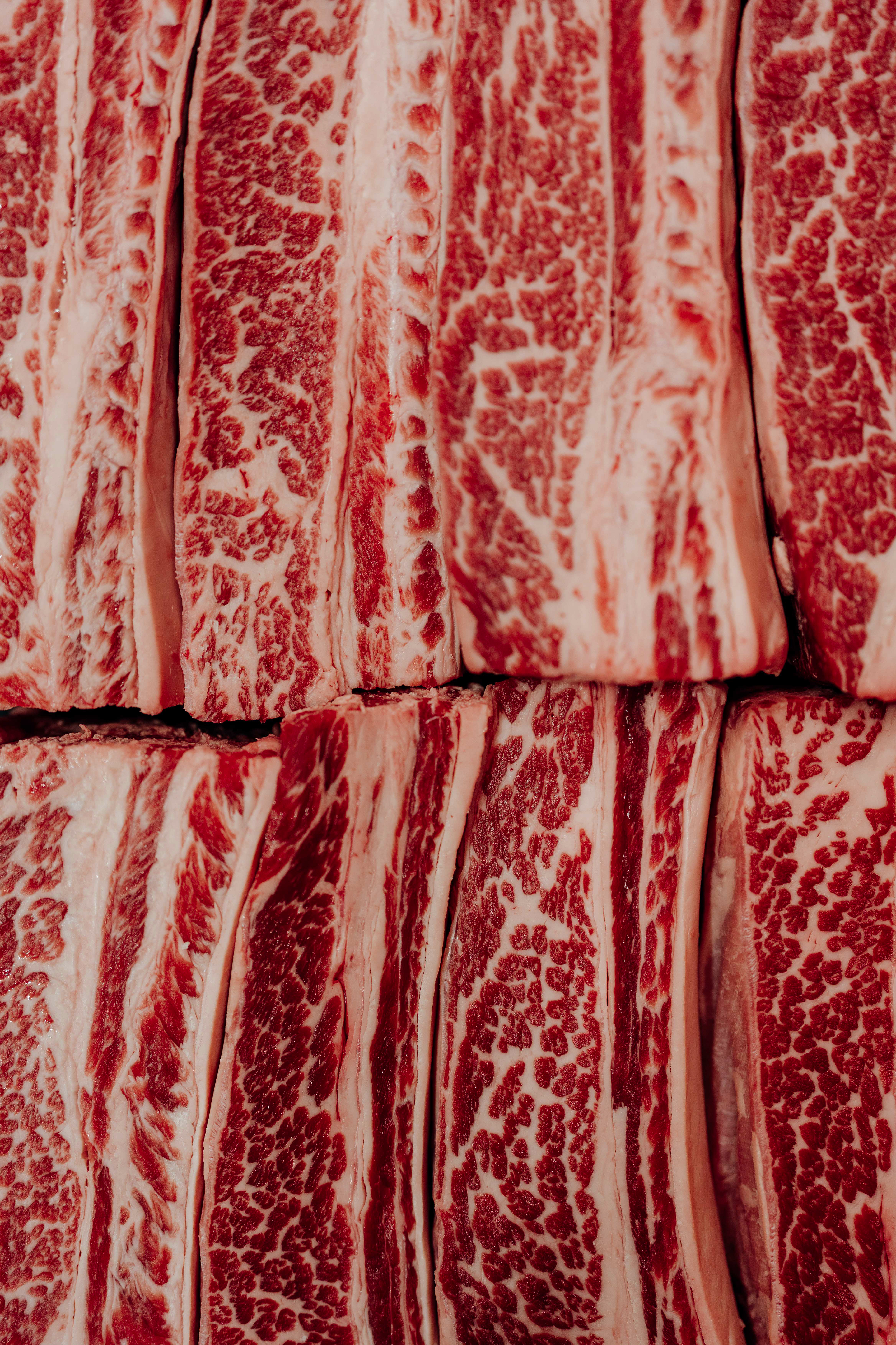 Bruce’s Meat project still 2