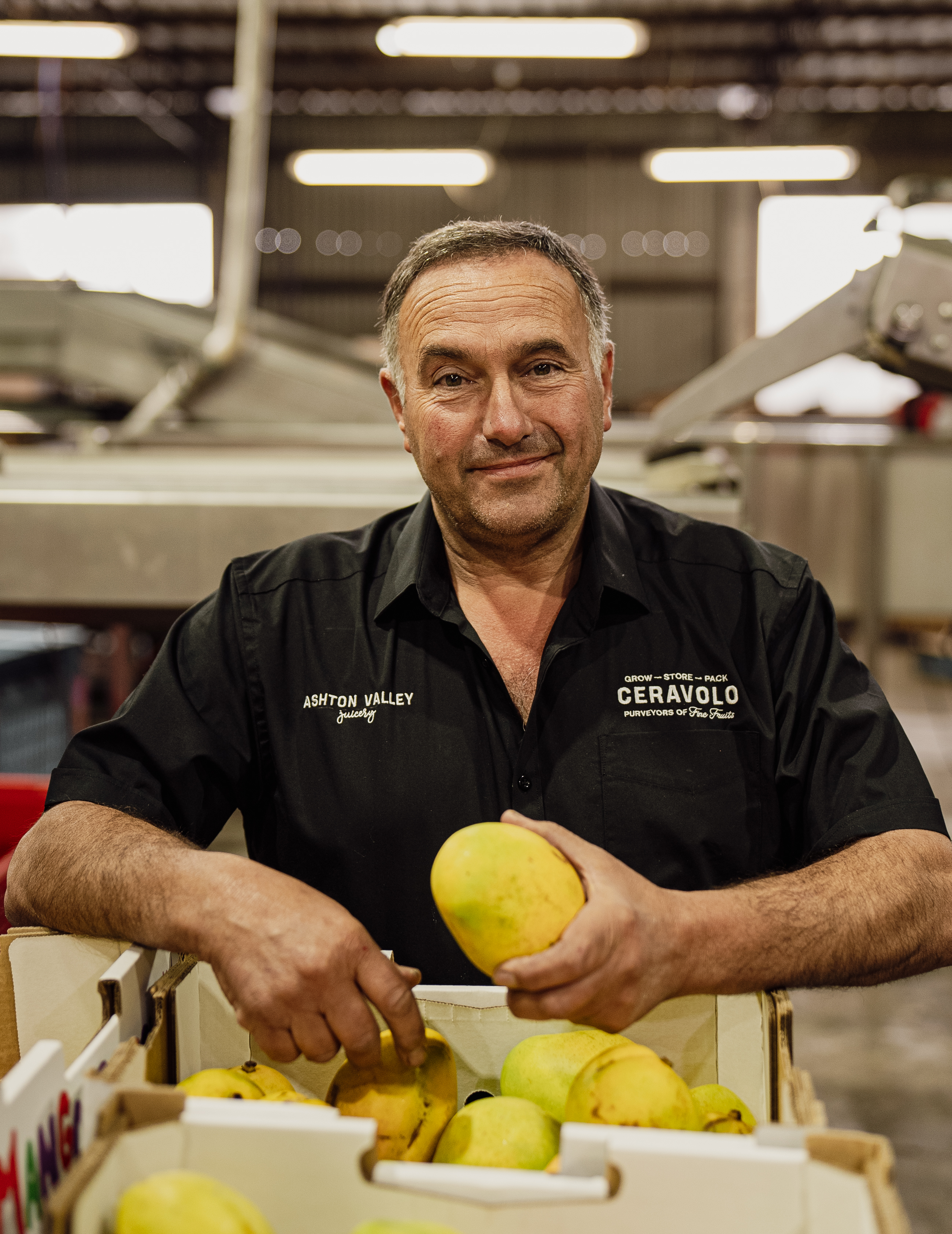 Foodland project still 7