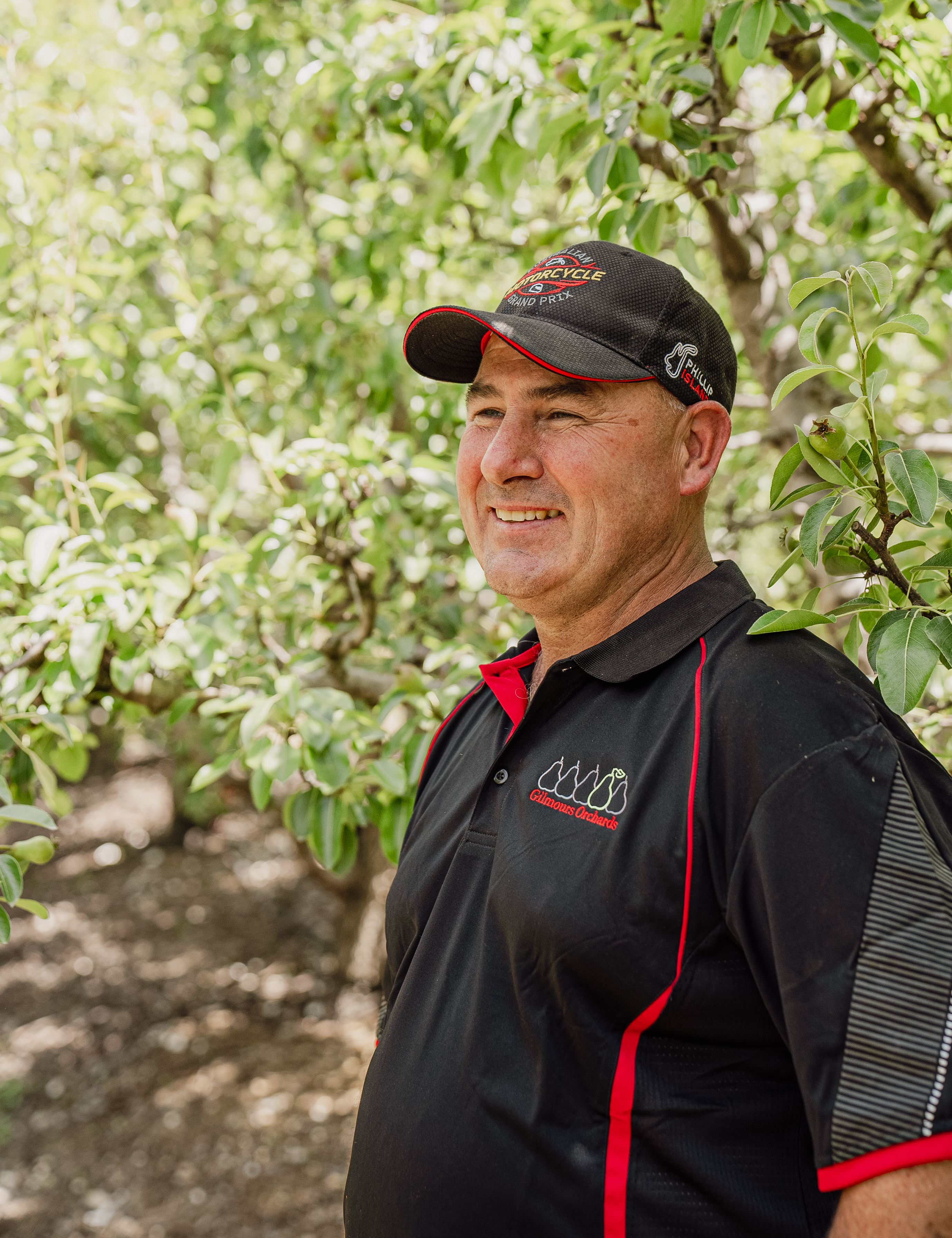 Foodland project still 8