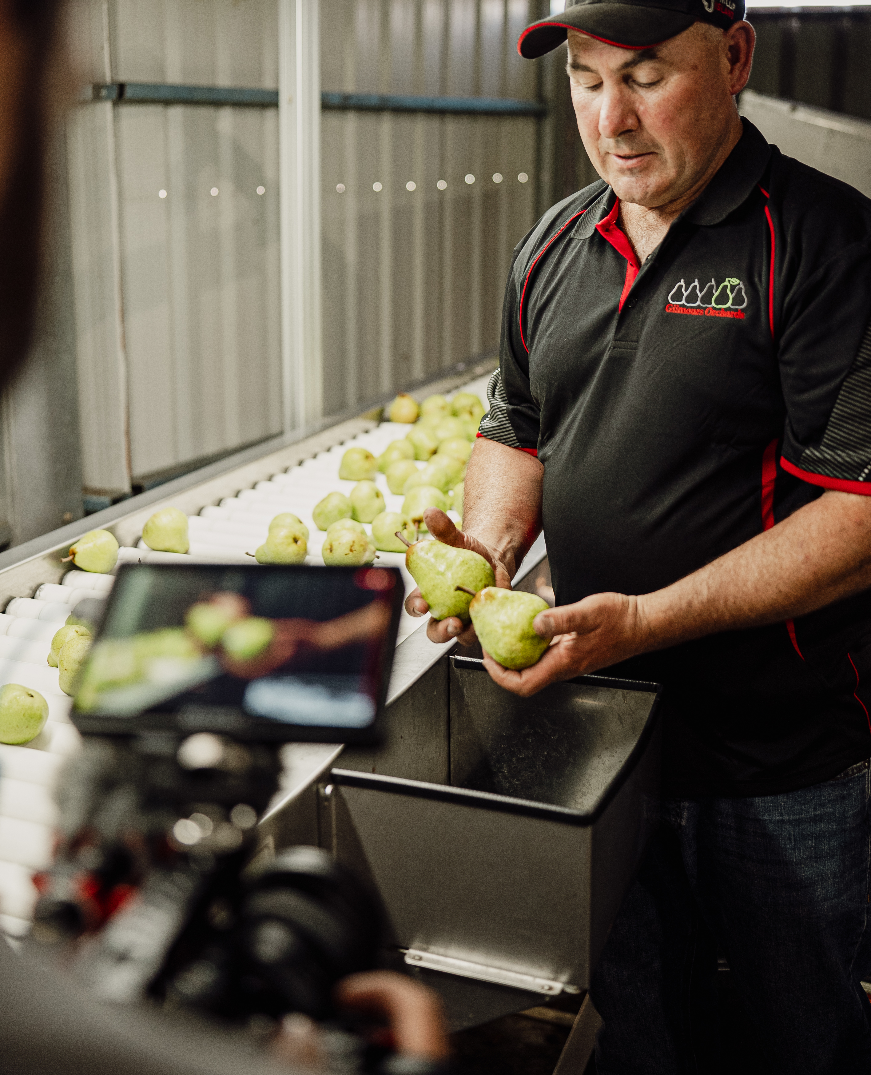 Foodland project still 1