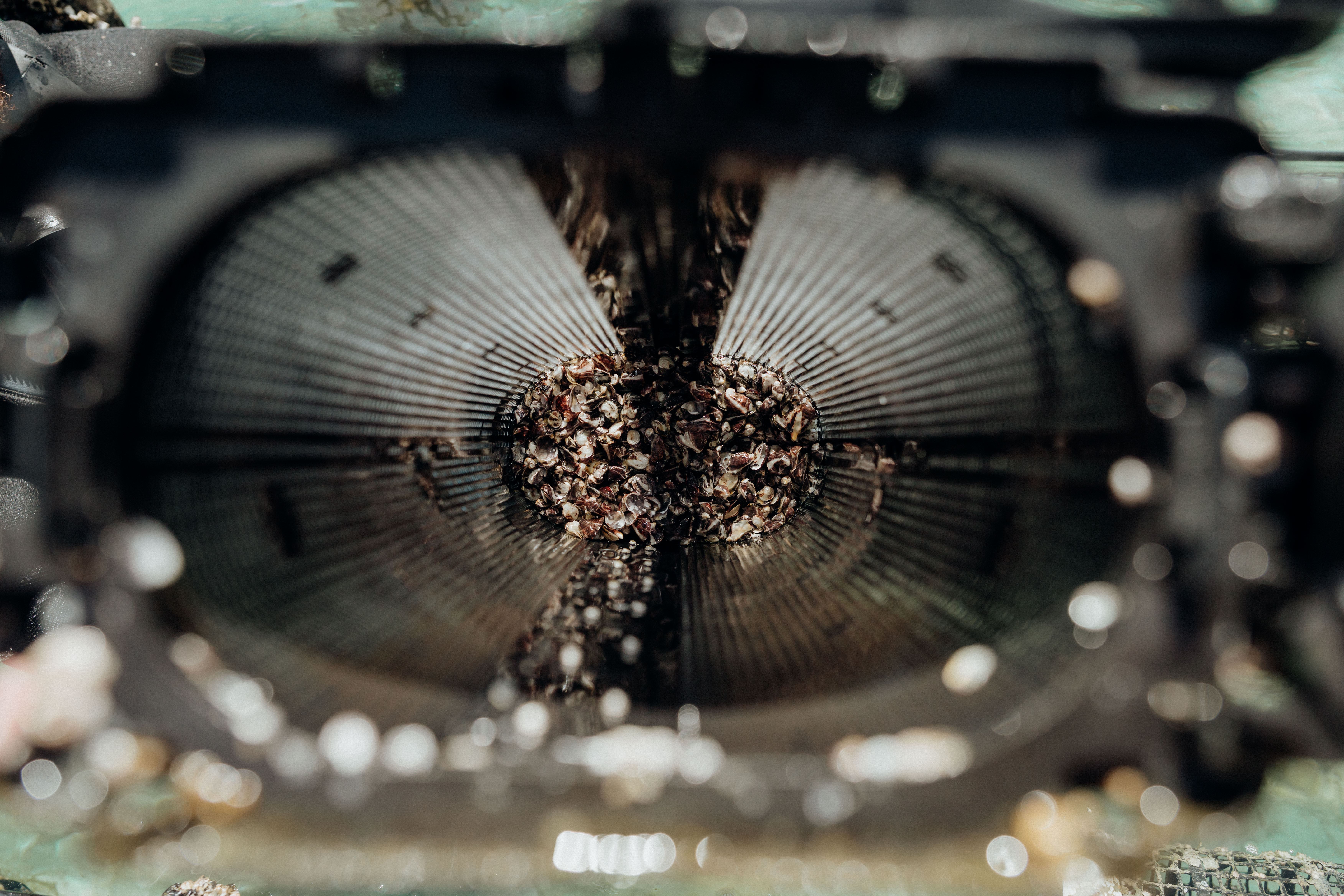 SEAPA Australia project still 3