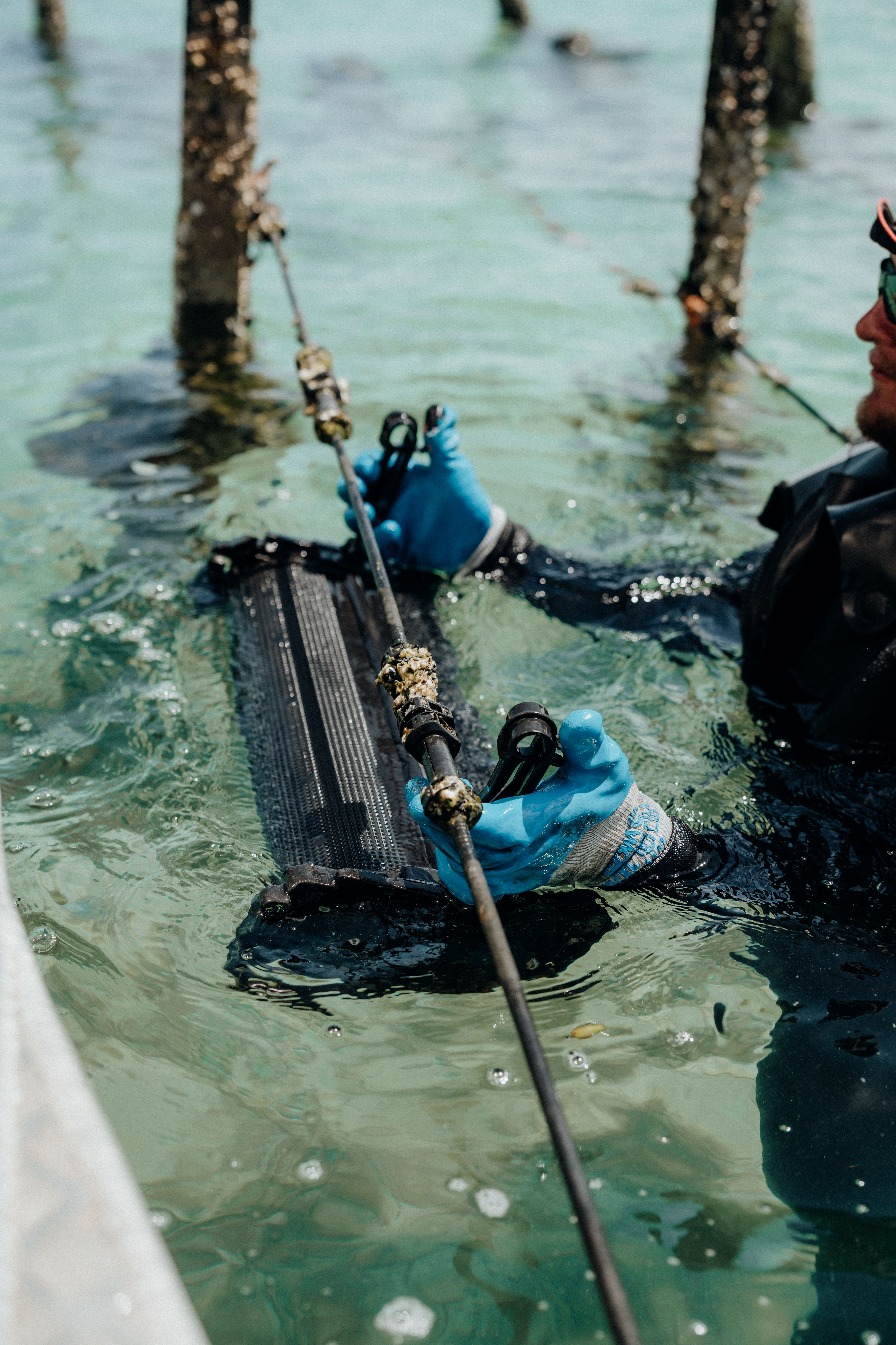 SEAPA Australia project still 4