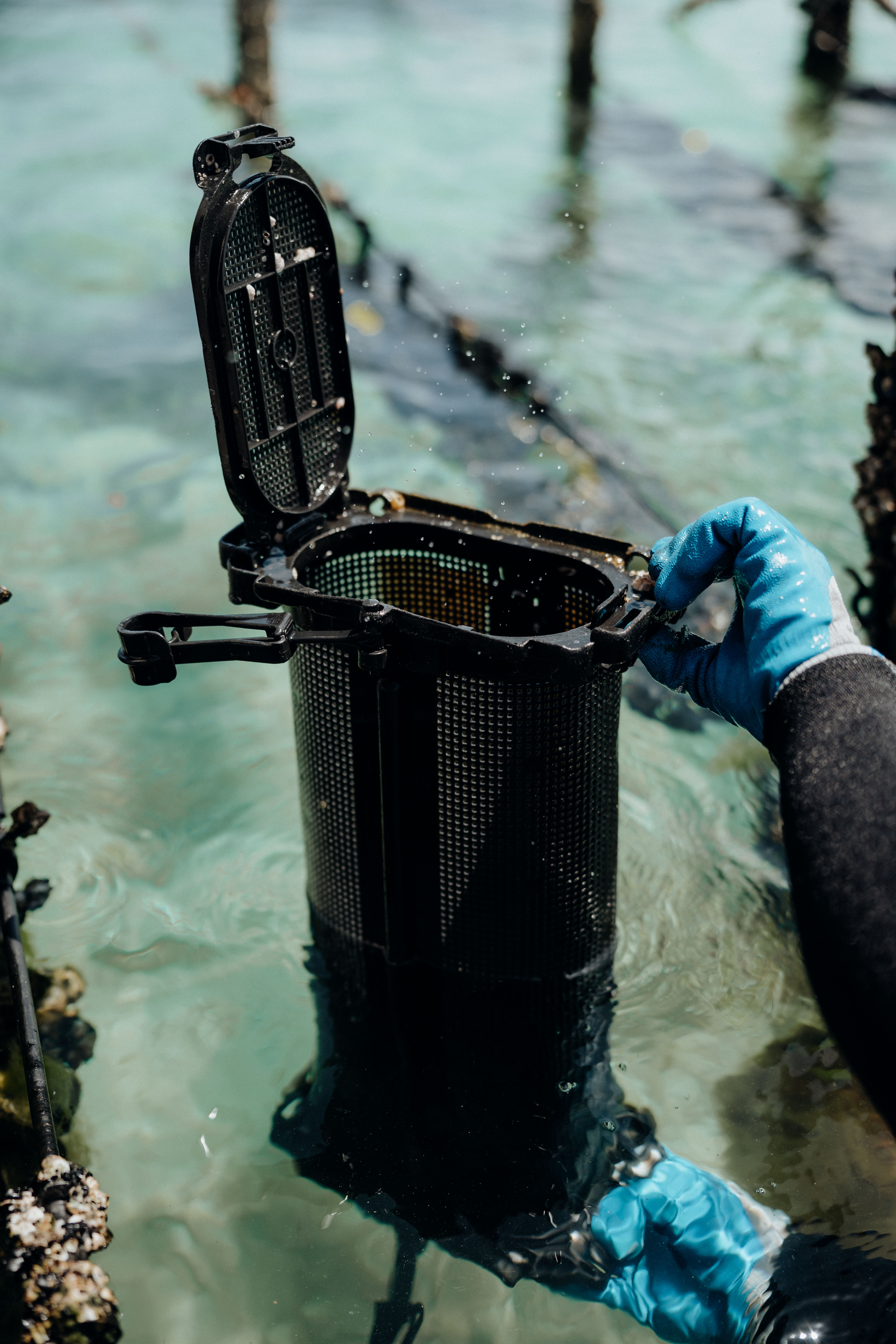 SEAPA Australia project still 5