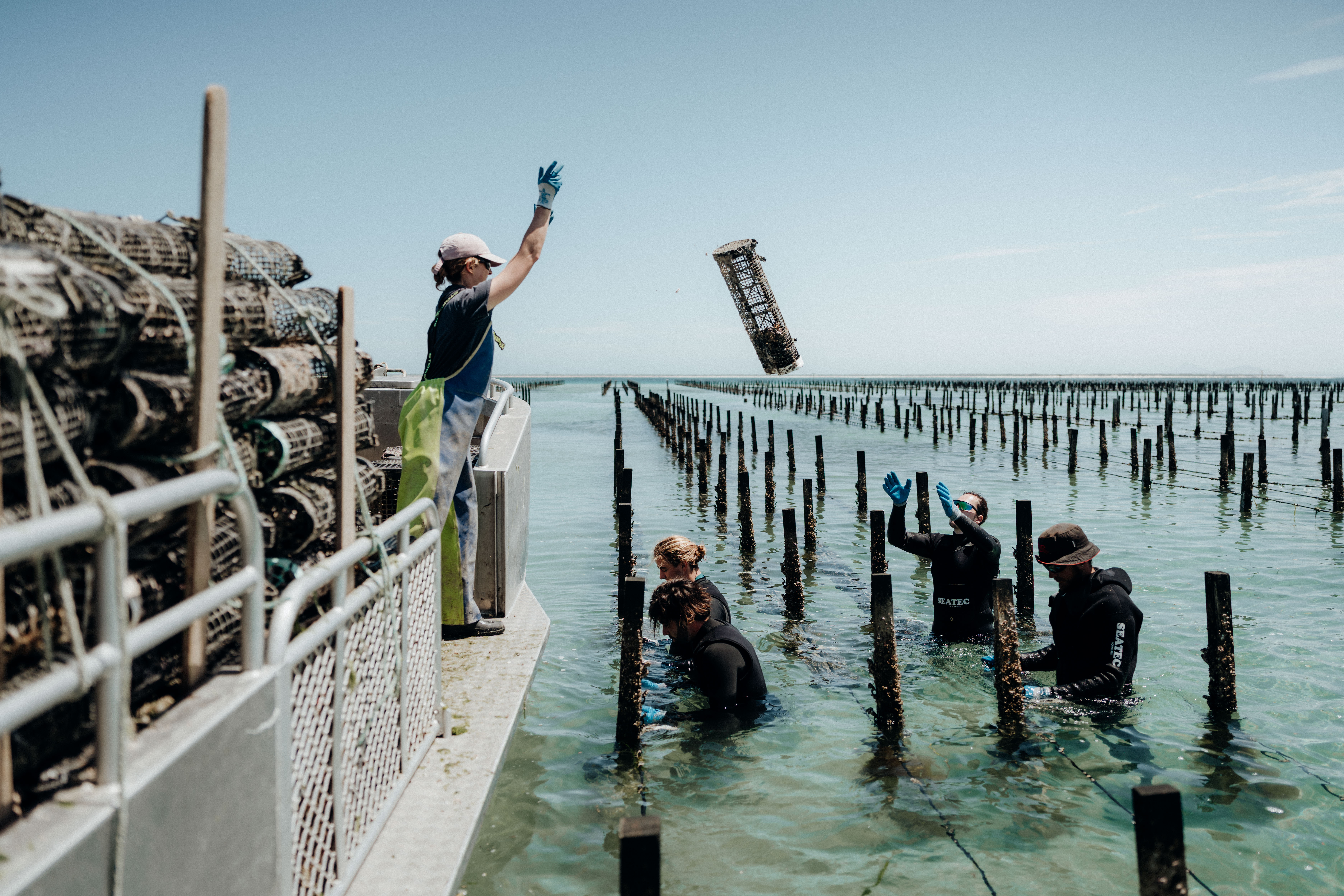 SEAPA Australia project still 7