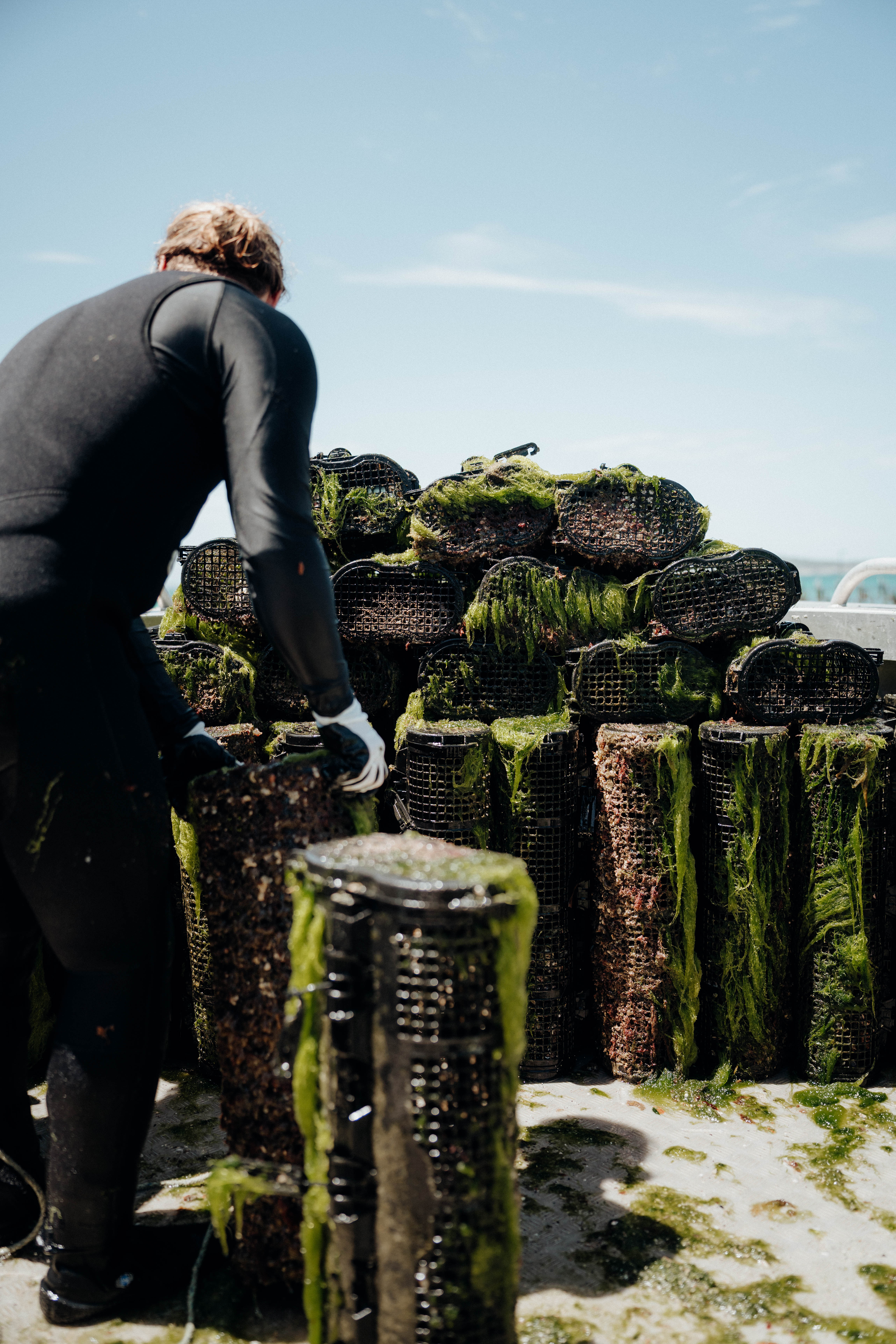 SEAPA Australia project still 8