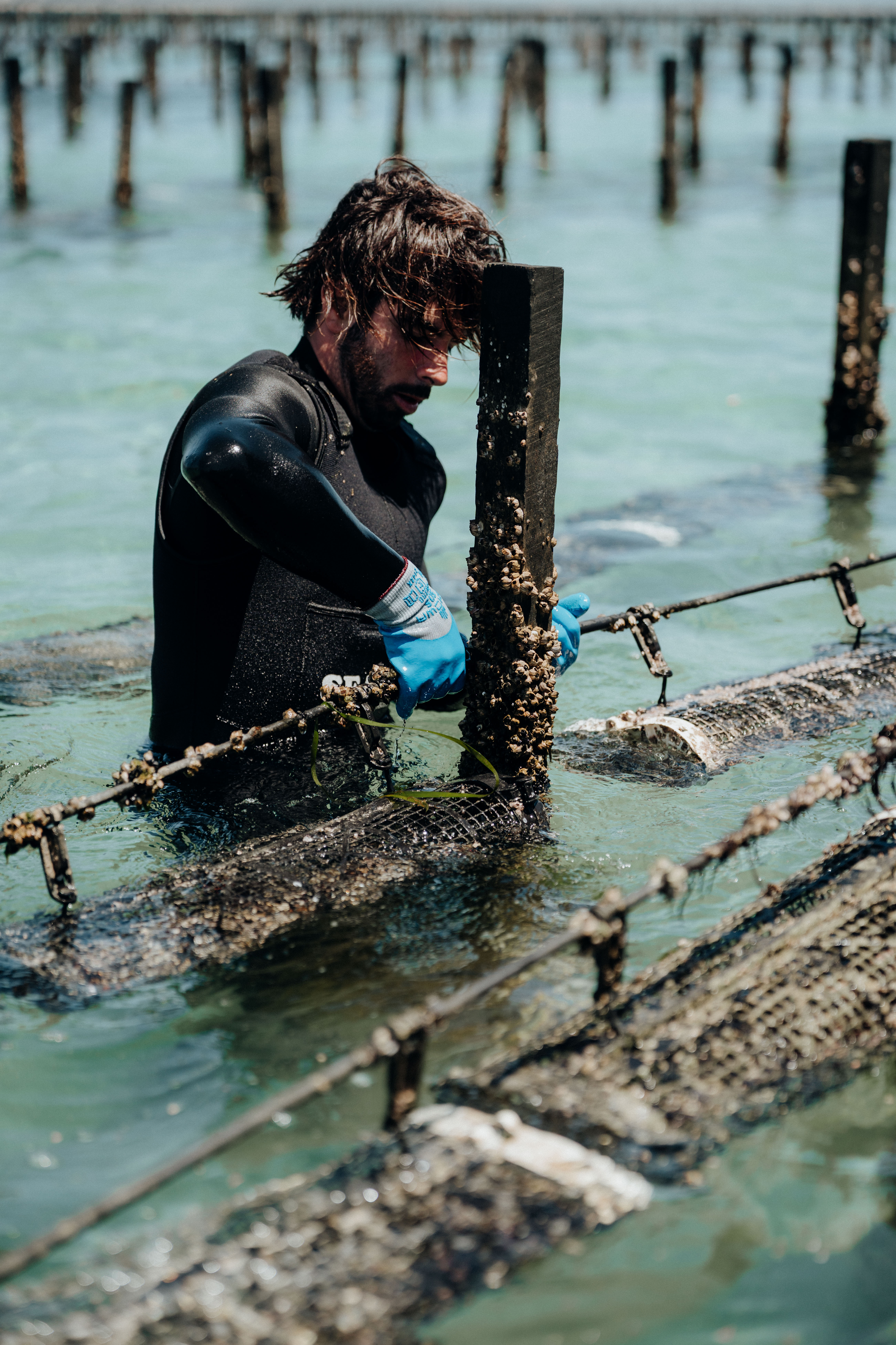 SEAPA Australia project still 9