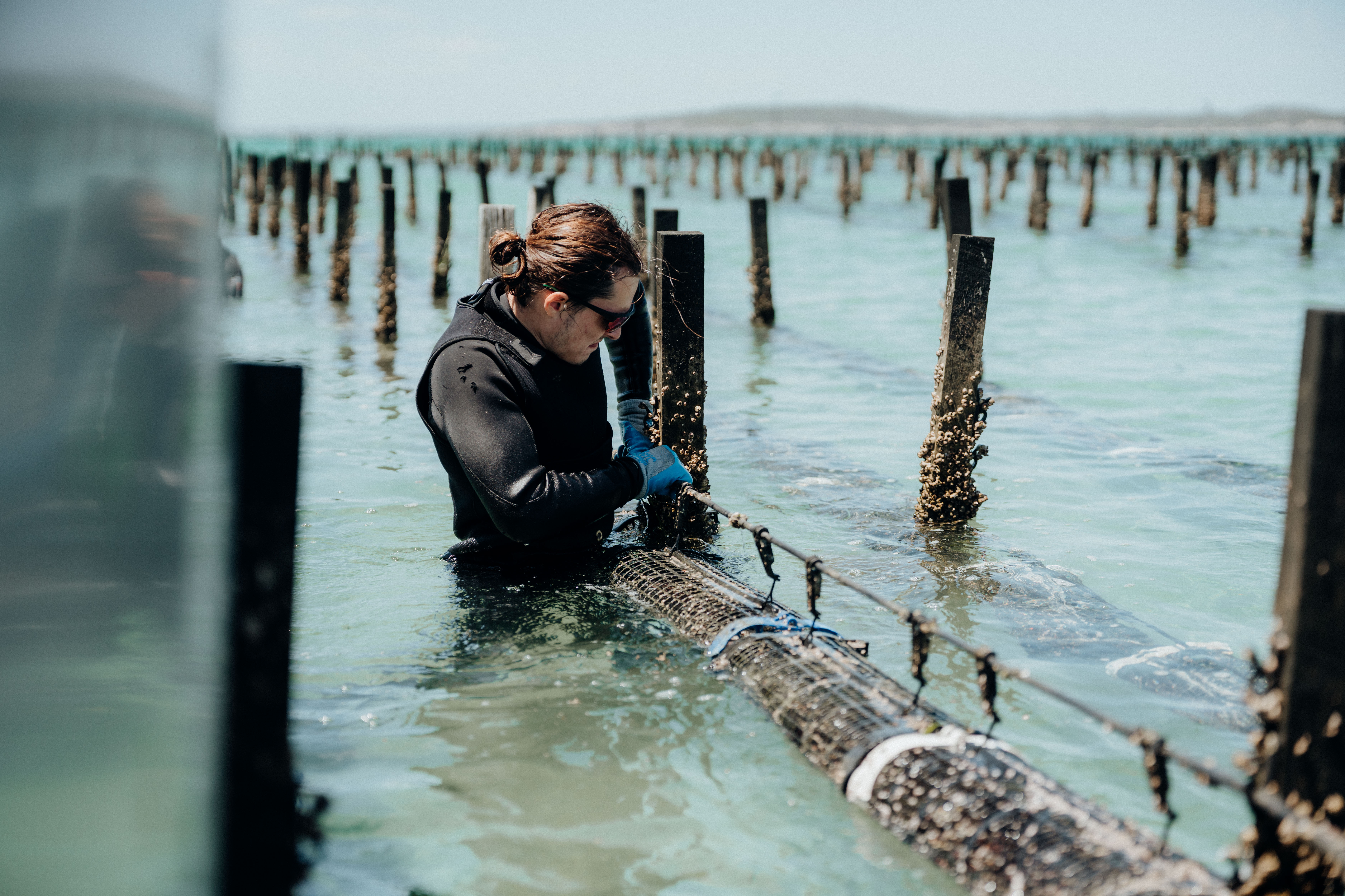 SEAPA Australia project still 10