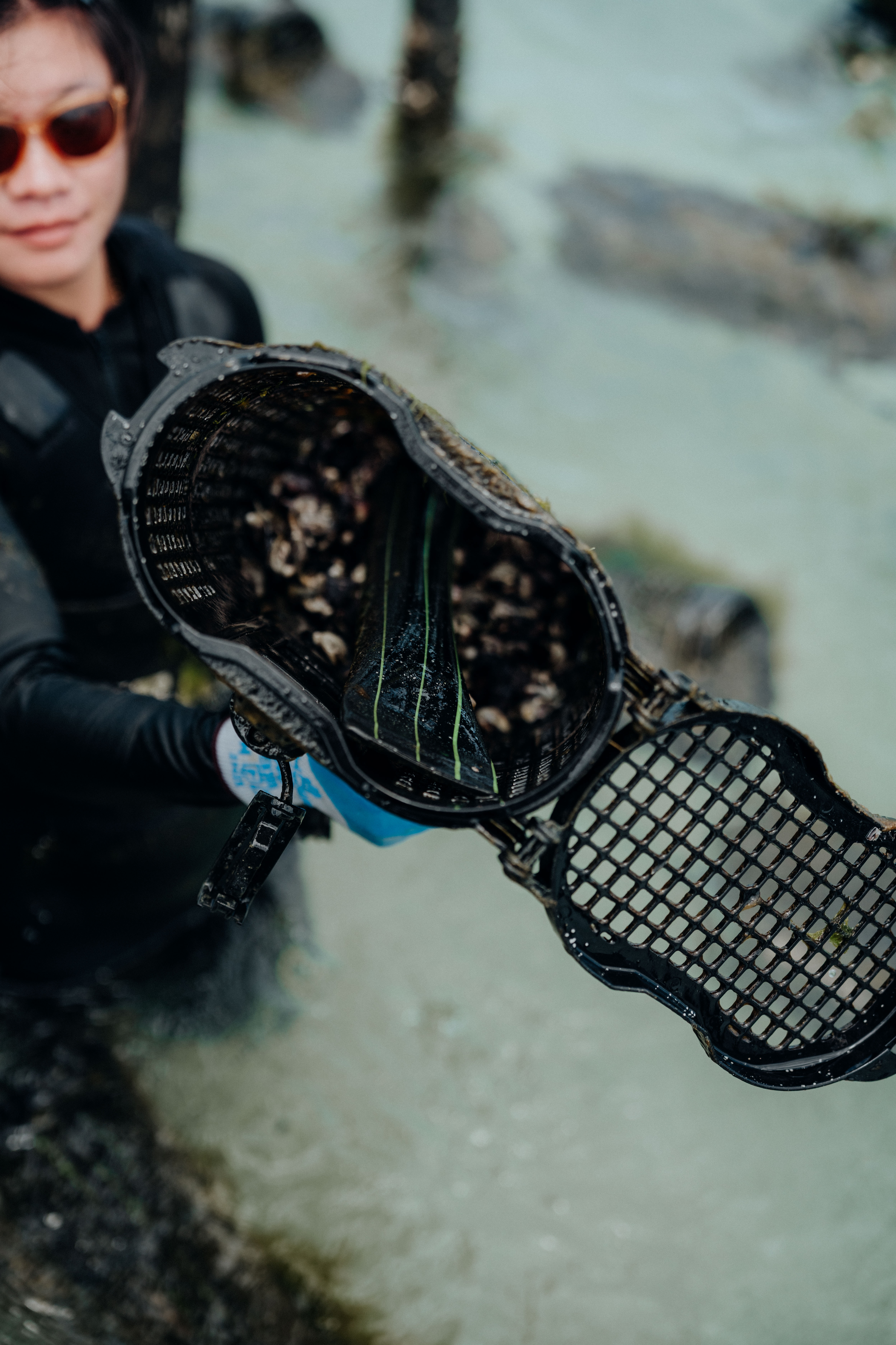 SEAPA Australia project still 11