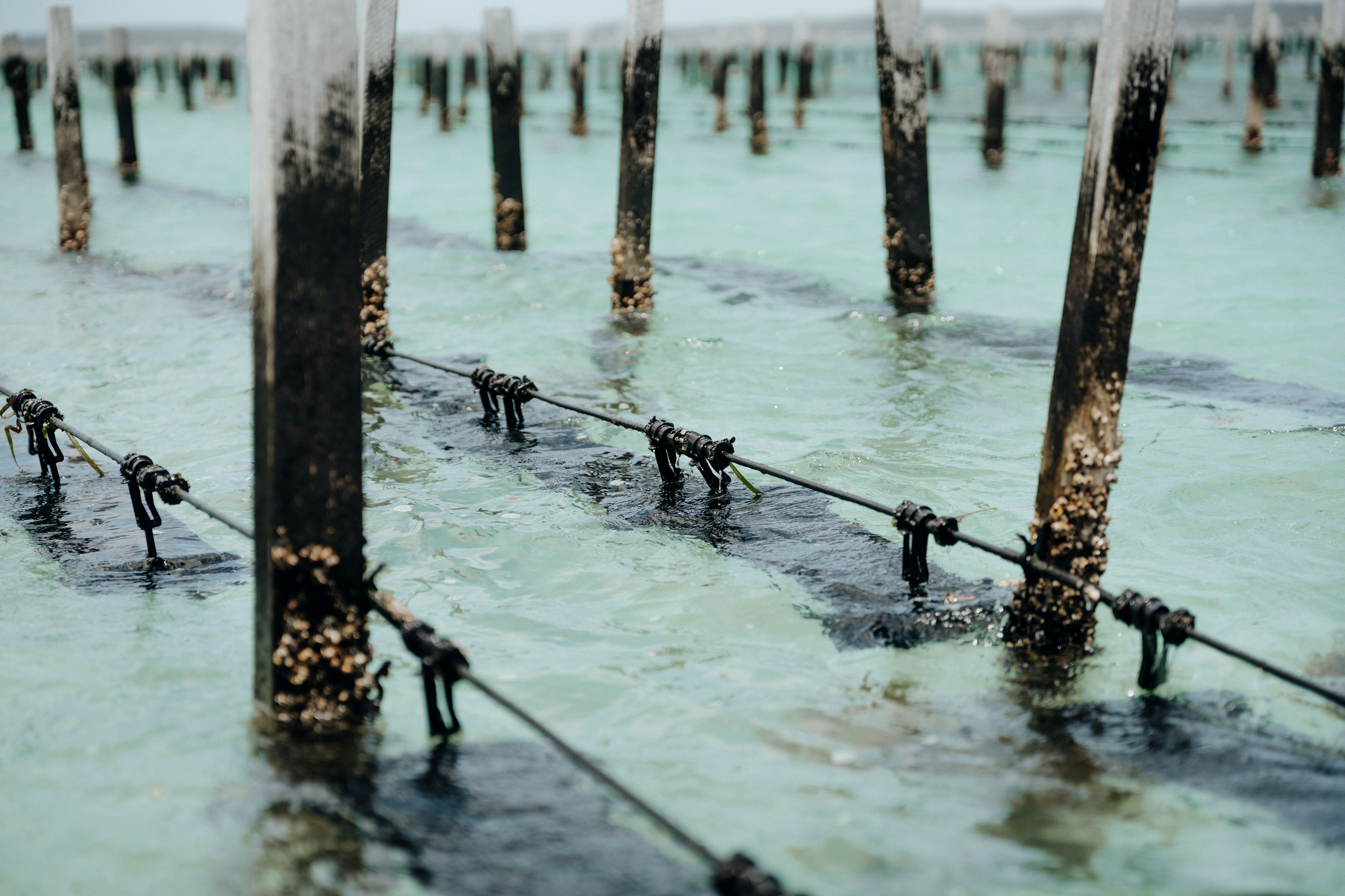 SEAPA Australia project still 12